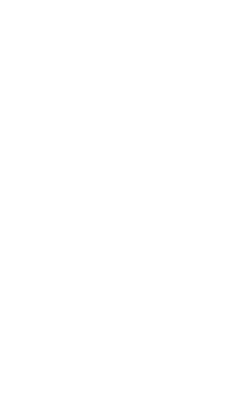 Viešbučio St. Bruno logotipas